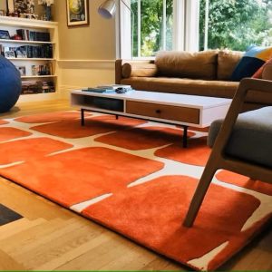 RG-104 Modern Contemporary Wool & Viscose Orange Handtufted Handmade Rug